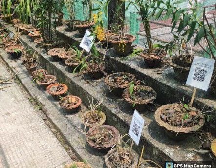 Orchidarium & Germplasm Centre - Kaliabor College